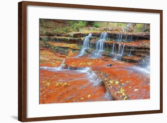 Subway Cascades at Zion-Vincent James-Framed Photographic Print