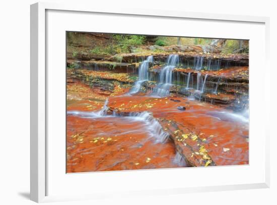 Subway Cascades at Zion-Vincent James-Framed Photographic Print