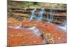 Subway Cascades at Zion-Vincent James-Mounted Photographic Print