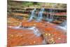 Subway Cascades at Zion-Vincent James-Mounted Photographic Print