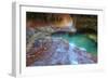 Subway Classic at Zion-Vincent James-Framed Premium Photographic Print