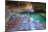 Subway Classic at Zion-Vincent James-Mounted Photographic Print