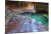 Subway Classic at Zion-Vincent James-Mounted Photographic Print