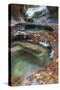 Subway Pools at Zion-Vincent James-Stretched Canvas