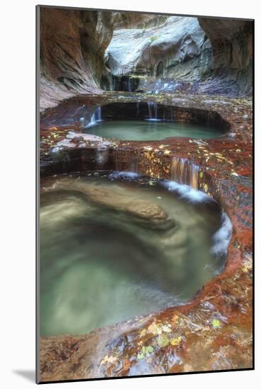 Subway Pools at Zion-Vincent James-Mounted Photographic Print