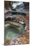 Subway Pools at Zion-Vincent James-Mounted Photographic Print