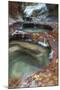 Subway Pools at Zion-Vincent James-Mounted Photographic Print