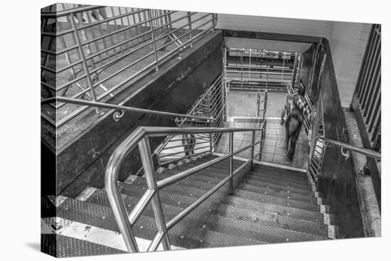 Subway Stairs-Robert Goldwitz-Stretched Canvas