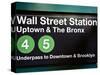 Subway Station Sign, Wall Street Station, Manhattan, New York City, United States-Philippe Hugonnard-Stretched Canvas