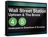 Subway Station Sign, Wall Street Station, Manhattan, New York City, United States-Philippe Hugonnard-Framed Stretched Canvas