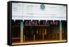 Subway Stations - Coney Island - New York - United States-Philippe Hugonnard-Framed Stretched Canvas