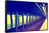 Subway Stations - Manhattan - New York City - United States-Philippe Hugonnard-Framed Stretched Canvas