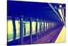 Subway Stations - Manhattan - New York City - United States-Philippe Hugonnard-Stretched Canvas