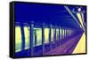 Subway Stations - Manhattan - New York City - United States-Philippe Hugonnard-Framed Stretched Canvas