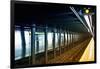 Subway Stations - Manhattan - New York City - United States-Philippe Hugonnard-Framed Photographic Print