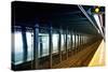 Subway Stations - Manhattan - New York City - United States-Philippe Hugonnard-Stretched Canvas