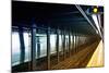 Subway Stations - Manhattan - New York City - United States-Philippe Hugonnard-Mounted Photographic Print