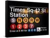 Subway Times Square - 42 Street Station - Subway Sign - Manhattan, New York City, USA-Philippe Hugonnard-Framed Stretched Canvas