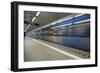 Subway-sellinmedia-Framed Photographic Print