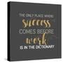 Success Comes Before Work-Bella Dos Santos-Stretched Canvas