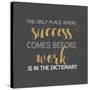 Success Comes Before Work-Bella Dos Santos-Stretched Canvas