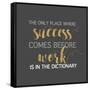 Success Comes Before Work-Bella Dos Santos-Framed Stretched Canvas