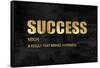 Success in Gold-Jamie MacDowell-Framed Stretched Canvas