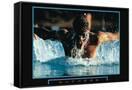 Canvas Black