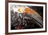 Success-Pamela Nielsen-Framed Giclee Print