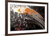 Success-Pamela Nielsen-Framed Giclee Print