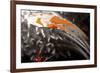 Success-Pamela Nielsen-Framed Giclee Print