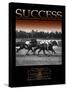 Success-null-Stretched Canvas