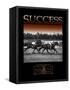 Success-null-Framed Stretched Canvas