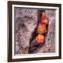 Succulants in Stone-Vincent James-Framed Photographic Print