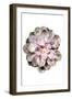 Succulent 01-1x Studio II-Framed Giclee Print