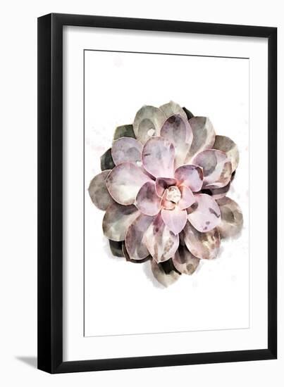 Succulent 01-1x Studio II-Framed Giclee Print