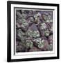 Succulent 13-Ken Bremer-Framed Limited Edition