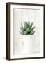 Succulent 1-Kimberly Allen-Framed Art Print