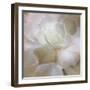 Succulent 2-Kimberly Allen-Framed Photo