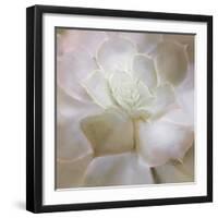 Succulent 2-Kimberly Allen-Framed Photo