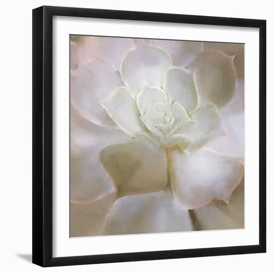 Succulent 2-Kimberly Allen-Framed Photo