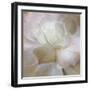 Succulent 2-Kimberly Allen-Framed Photo