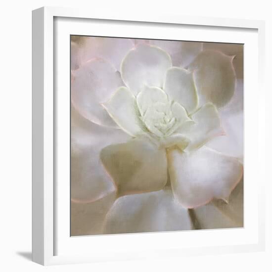 Succulent 2-Kimberly Allen-Framed Photo