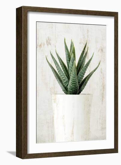 Succulent 2-Kimberly Allen-Framed Art Print