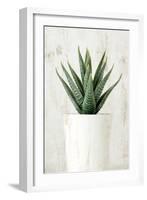 Succulent 2-Kimberly Allen-Framed Art Print