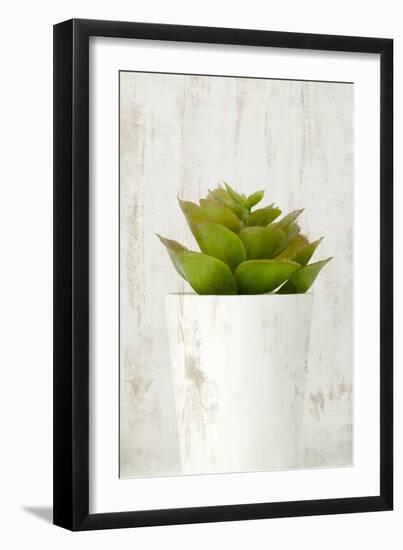 Succulent 3-Kimberly Allen-Framed Art Print