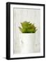 Succulent 3-Kimberly Allen-Framed Art Print