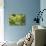 Succulent Array-Erin Berzel-Photographic Print displayed on a wall