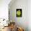 Succulent Blossom II-Erin Berzel-Framed Stretched Canvas displayed on a wall