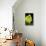 Succulent Blossom II-Erin Berzel-Mounted Photographic Print displayed on a wall